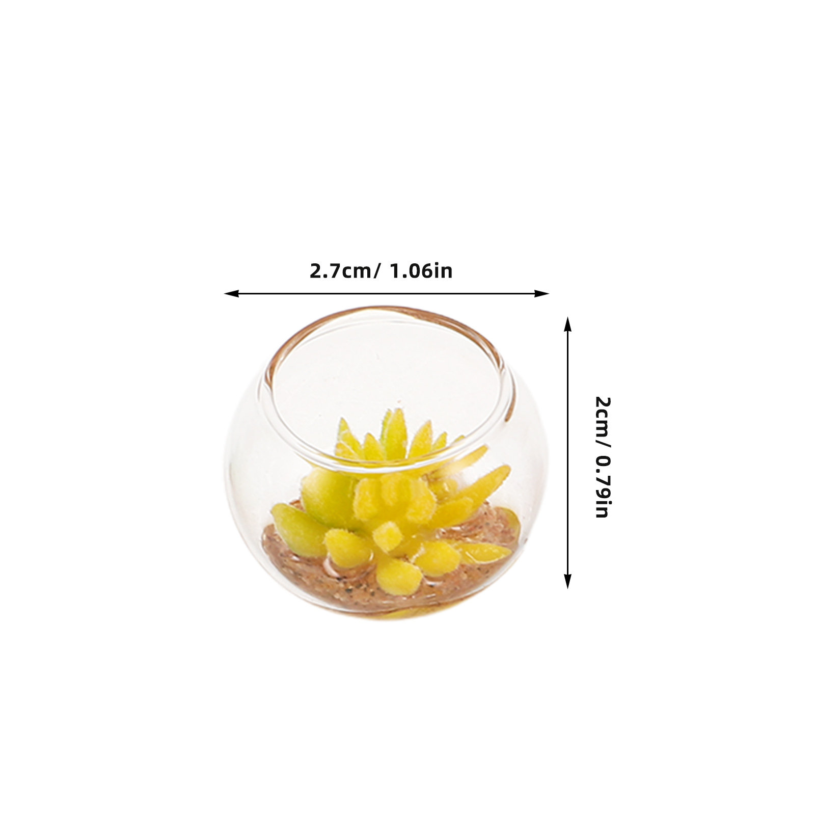 Miniature Glass Planters 5Pcs  - Plant Pot ulasan dan harga