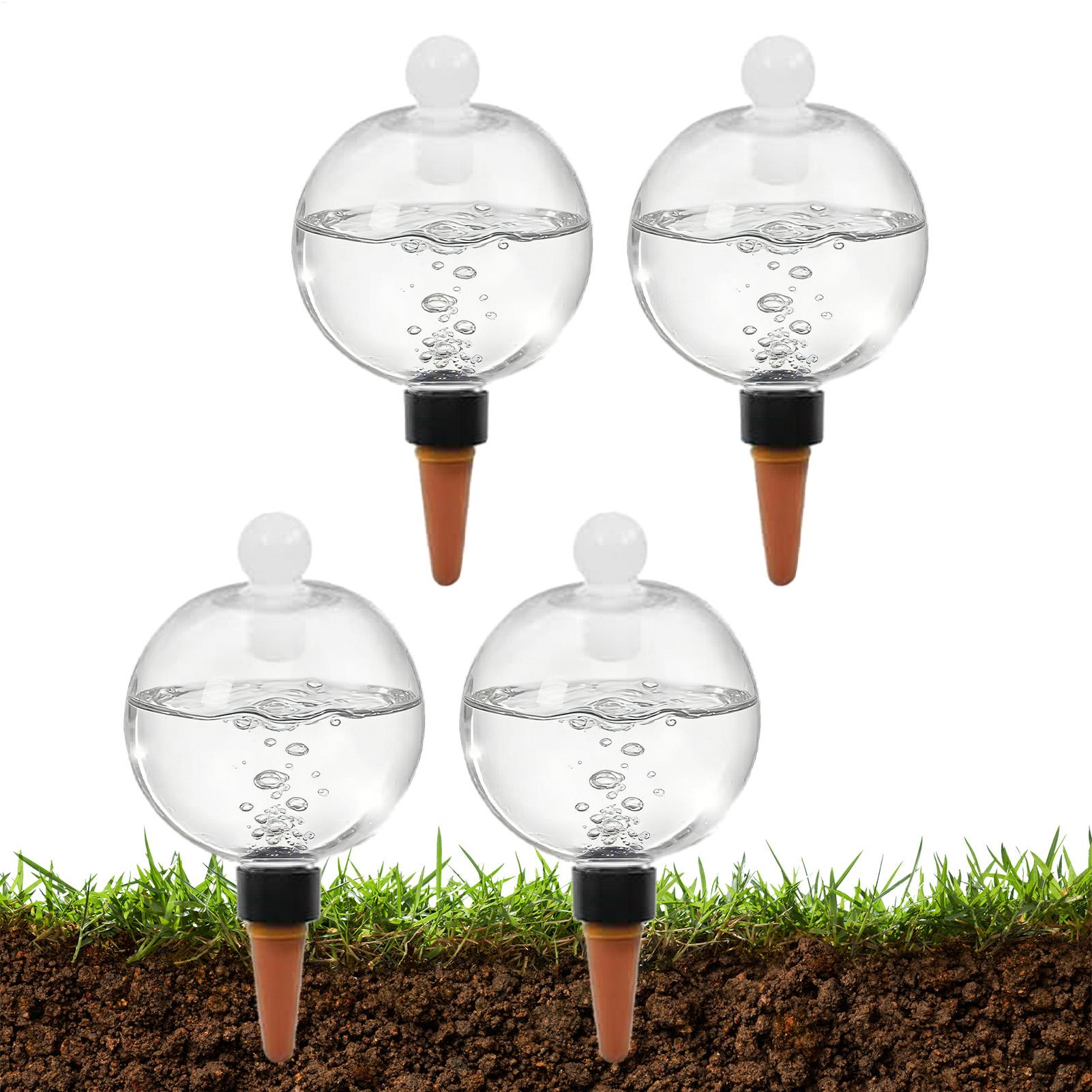 Plant Watering Bulbs 4pcs 500m - Pothos ulasan dan harga