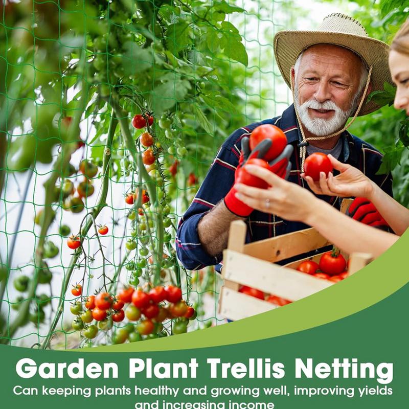 Trellis Netting For Climbing P - Plant Support Stake ulasan dan harga