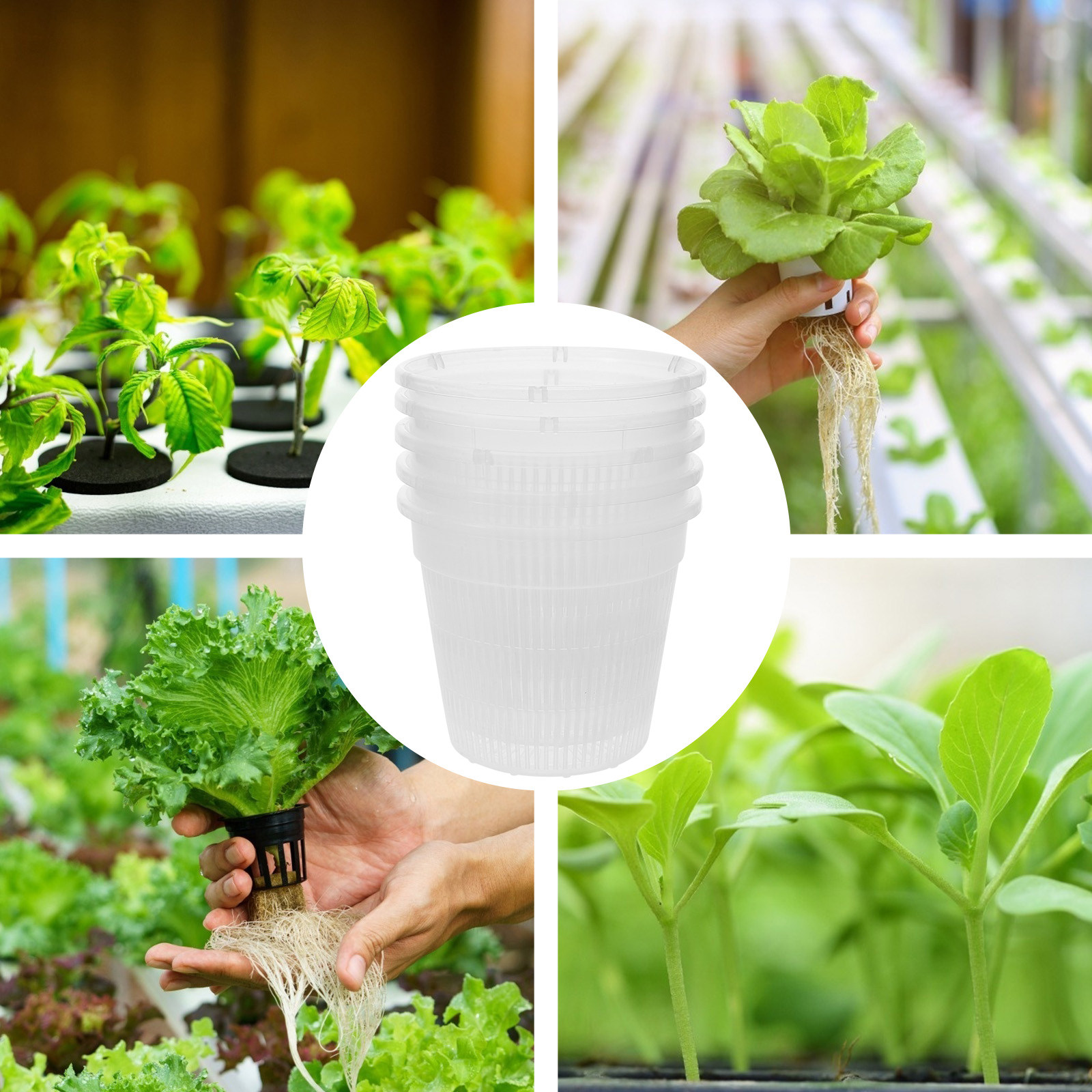5Pcs Hydroponic Planting Net P - Indoor Plants ulasan dan harga