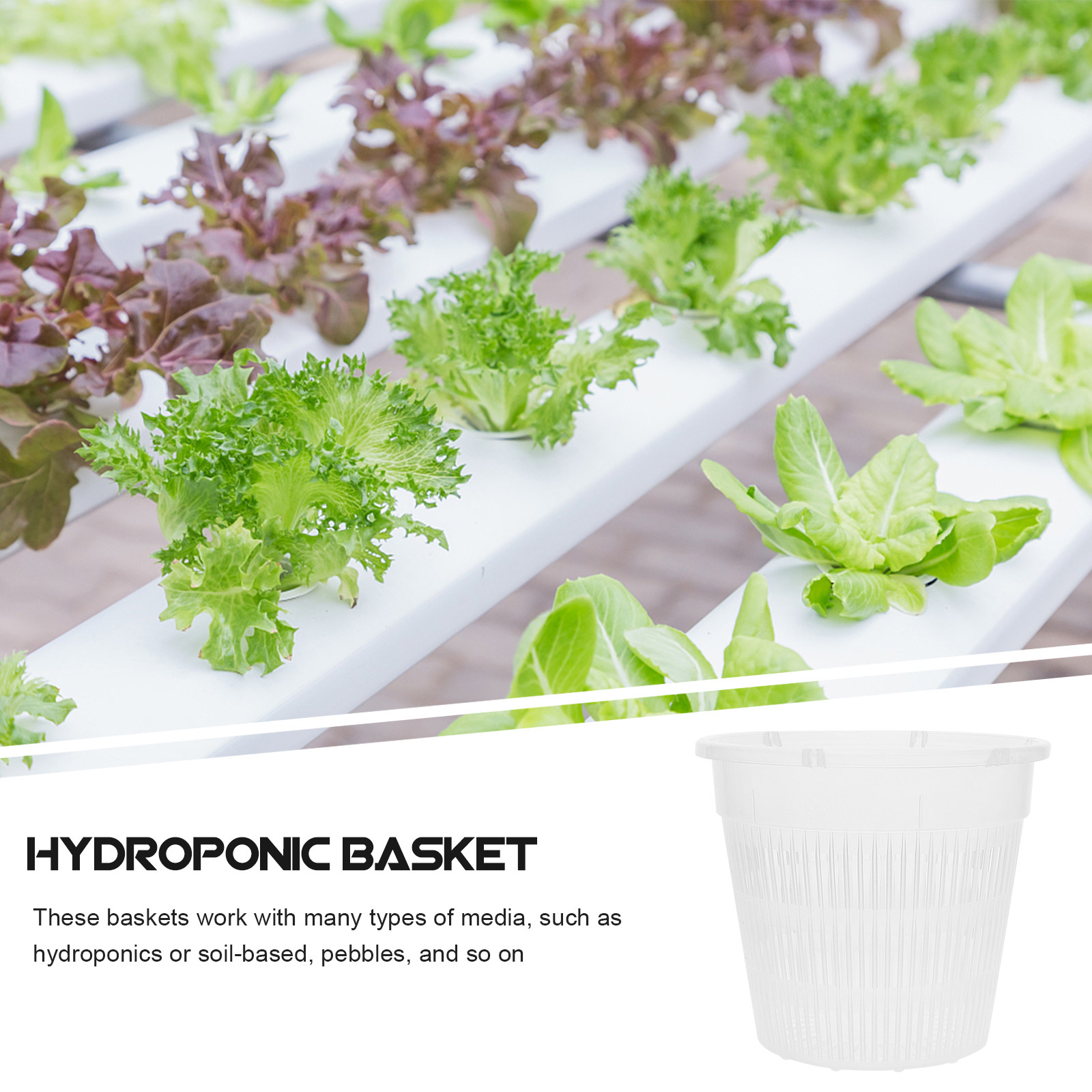 5Pcs Hydroponic Planting Net P - Indoor Plants ulasan dan harga