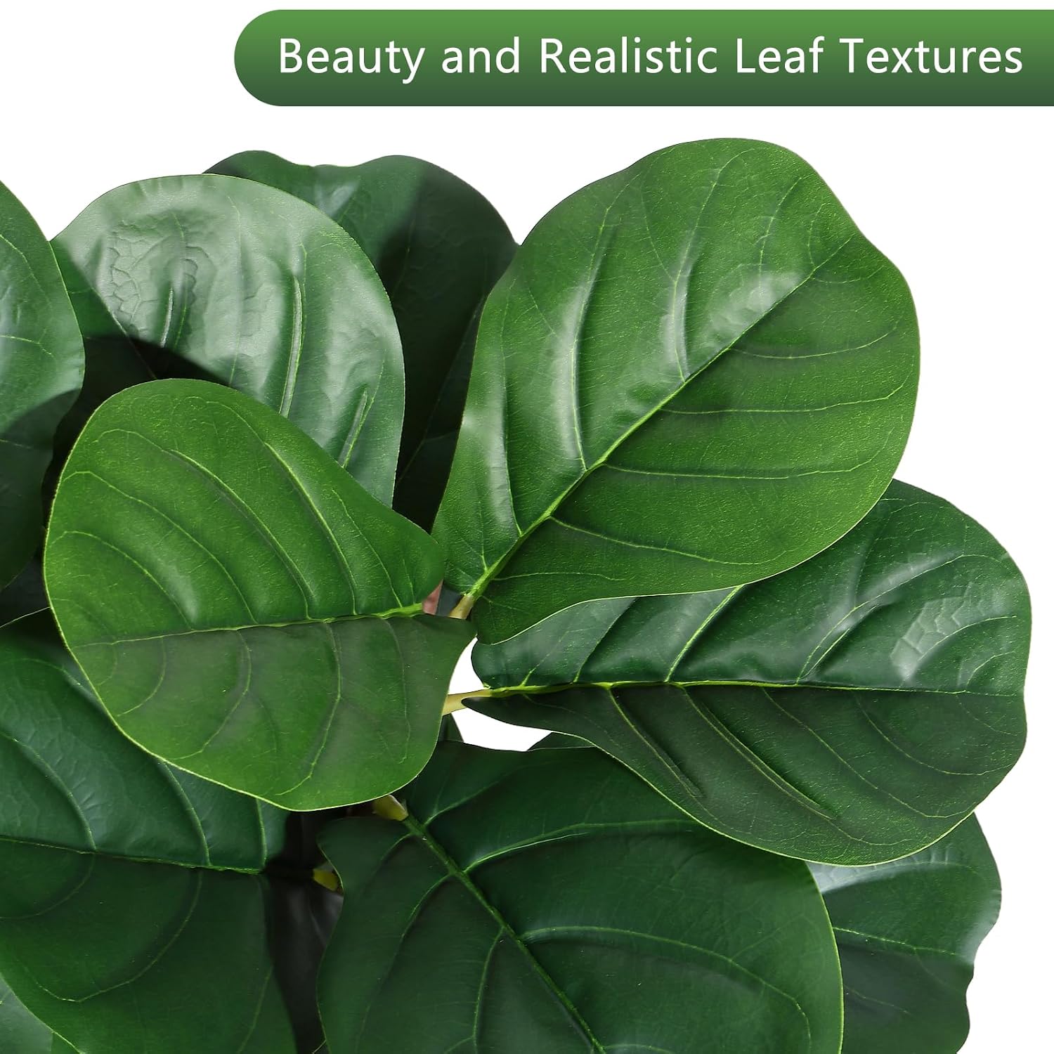 4 ft Fiddle Leaf Fig Tree Arti - Fiddle Leaf Fig ulasan dan harga