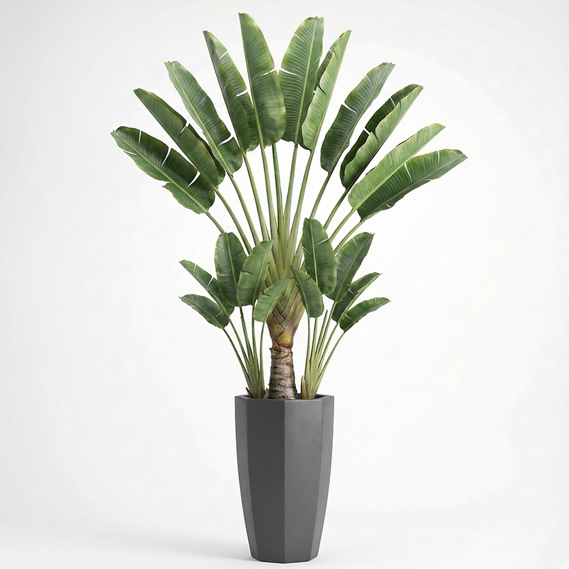 High-Simulation Plastic Fiddle - Fiddle Leaf Fig ulasan dan harga