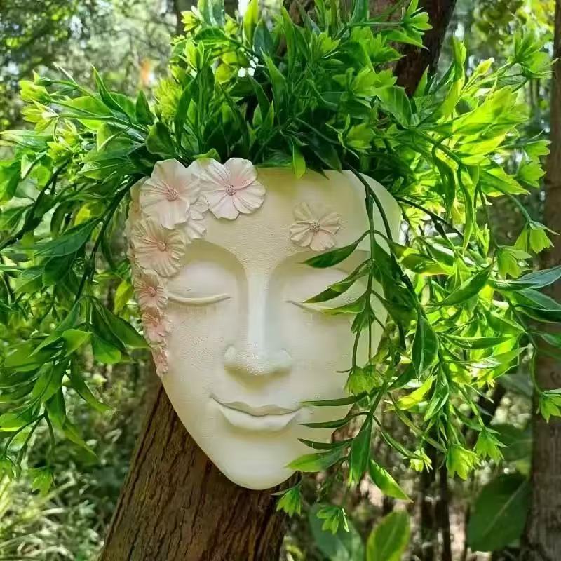 Creative Wall Mounted Facial F - Succulent Set ulasan dan harga
