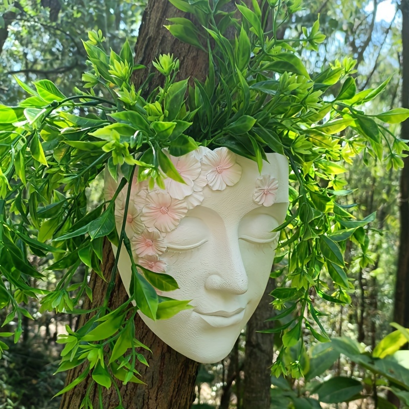 Creative Wall Mounted Facial F - Succulent Set ulasan dan harga