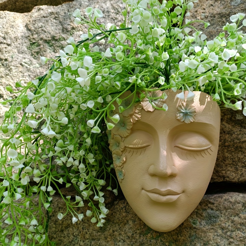 Creative Wall Mounted Facial F - Succulent Set ulasan dan harga
