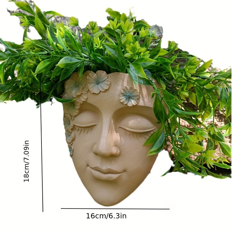 Creative Wall Mounted Facial F - Succulent Set ulasan dan harga
