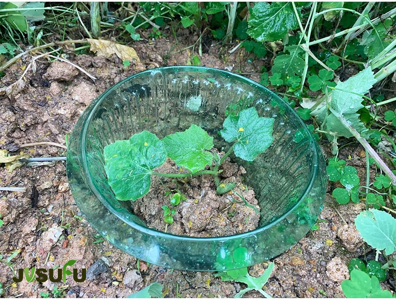 1/30pcs Plants Slug Protection - Terracotta Pot ulasan dan harga