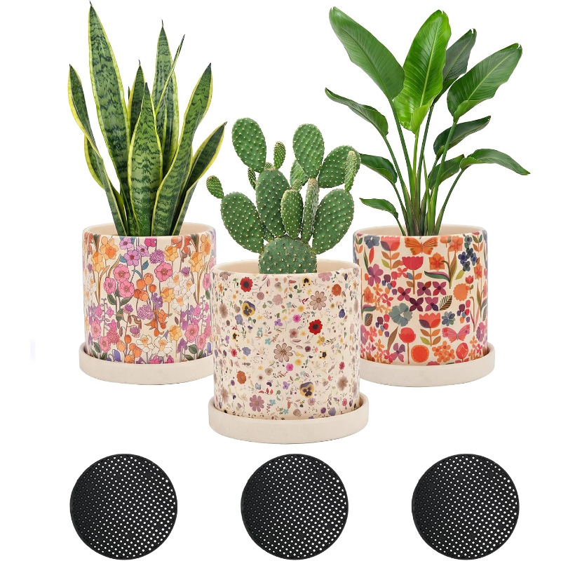 3Pcs Floral Ceramic Planters w - Snake Plant Ceramic ulasan dan harga